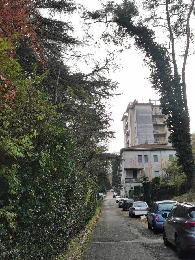 Lovely View Albizzate المظهر الخارجي الصورة